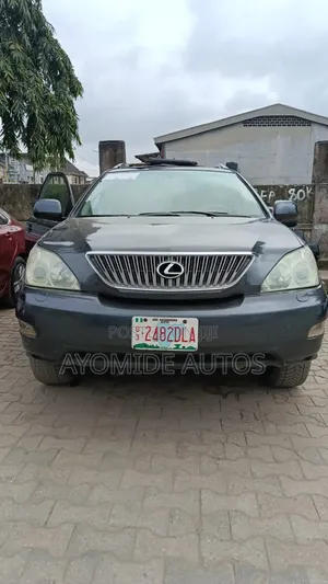 Lexus RX 2009 Gray
