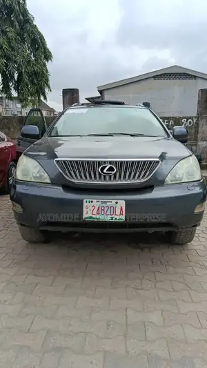 Lexus RX 2009 Gray