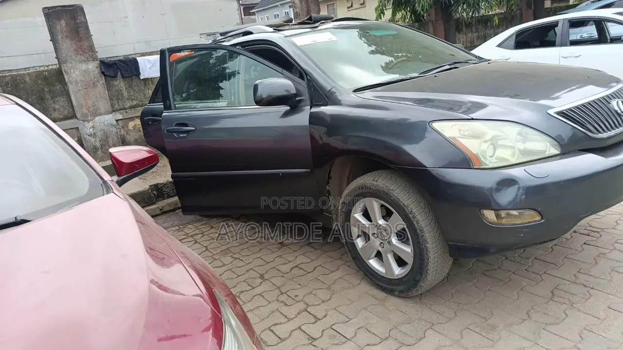 Lexus RX 2009 Gray