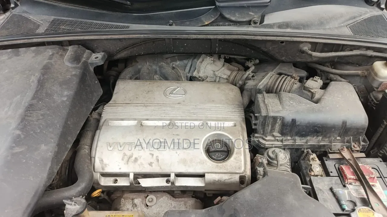 Lexus RX 2009 Gray