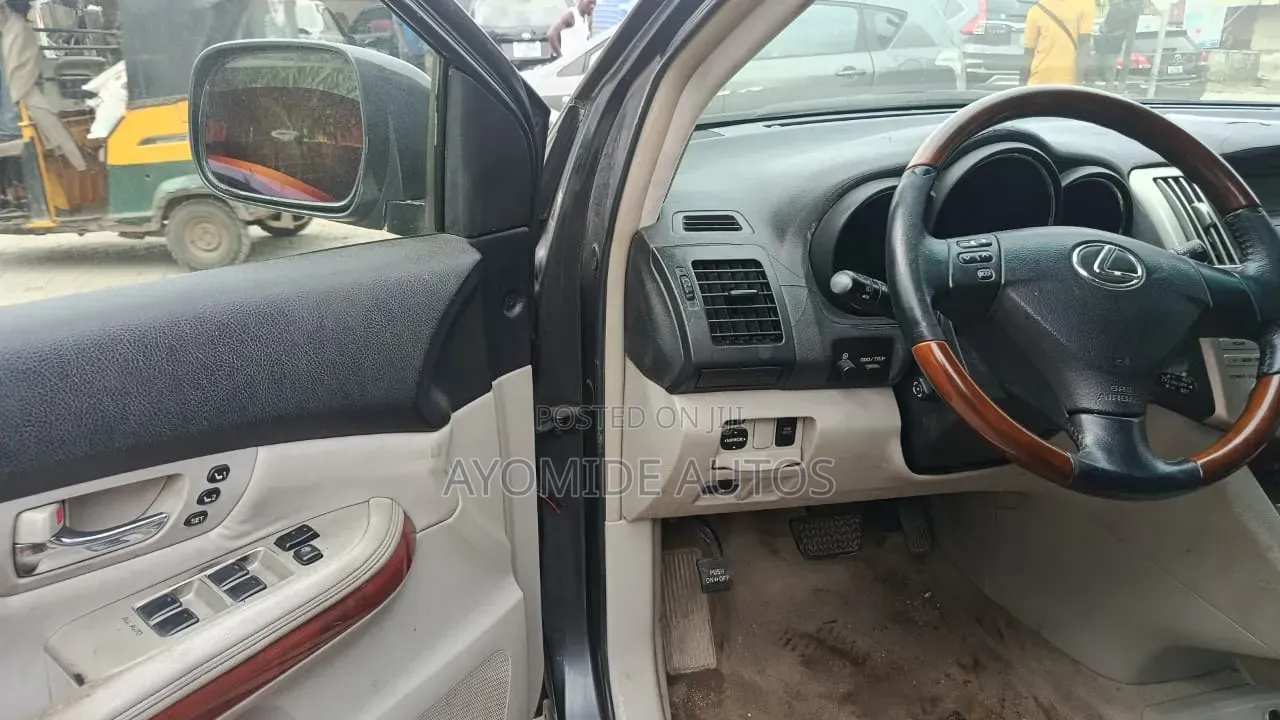 Lexus RX 2009 Gray