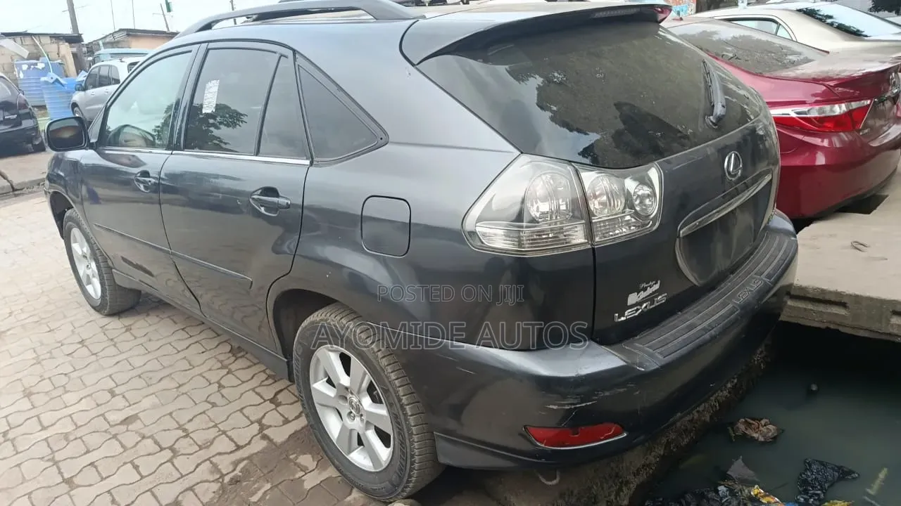 Lexus RX 2009 Gray