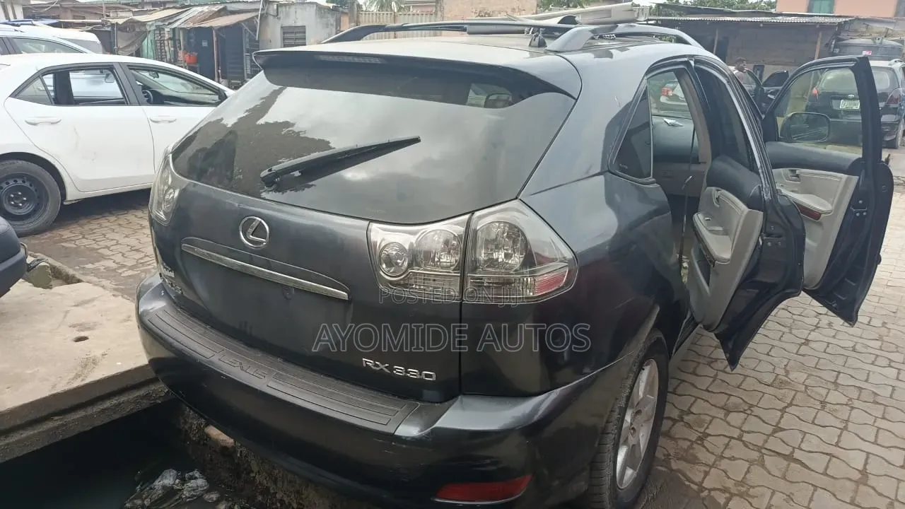 Lexus RX 2009 Gray