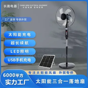 Standing Solar Fan