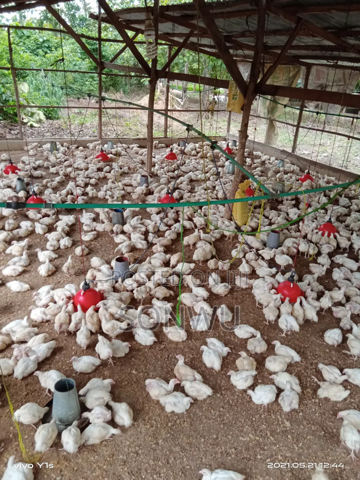 Farm Manager