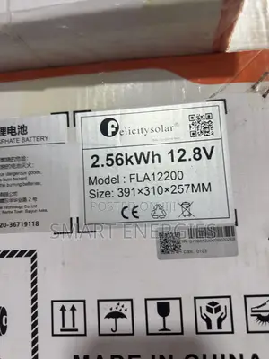 2.5kwh 12V FLA Felicity Lithium Ion Battery