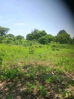 Land at Owode Ofada Mowe 13acres of Land