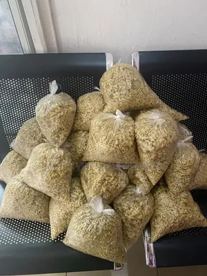 Dog Indomie