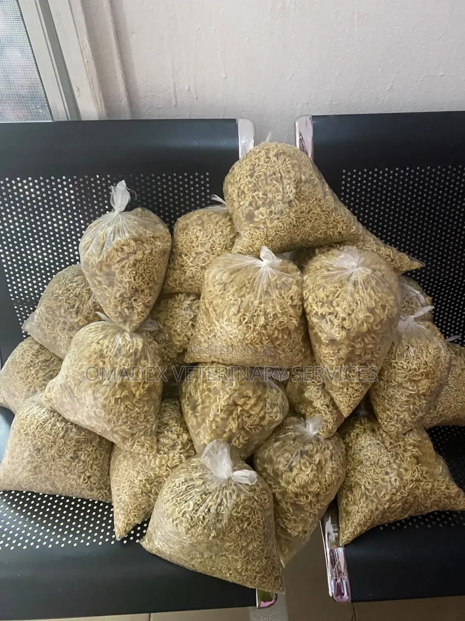 Dog Indomie