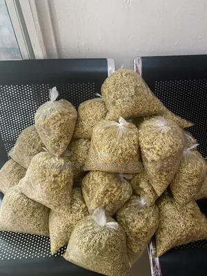 Dog Indomie