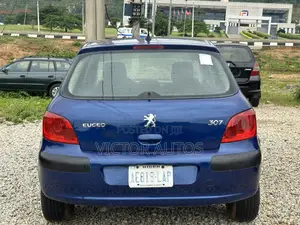 Peugeot 307 2007 Blue
