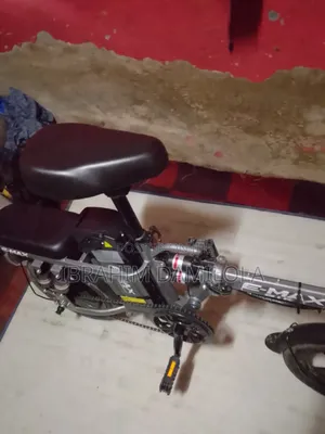 Electric Bicycle