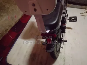 Electric Bicycle