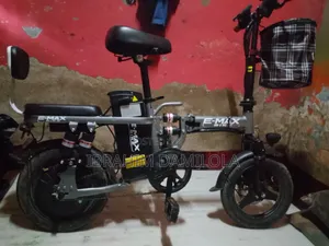 Electric Bicycle