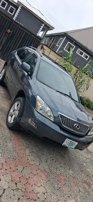 Lexus RX 2006 Gray