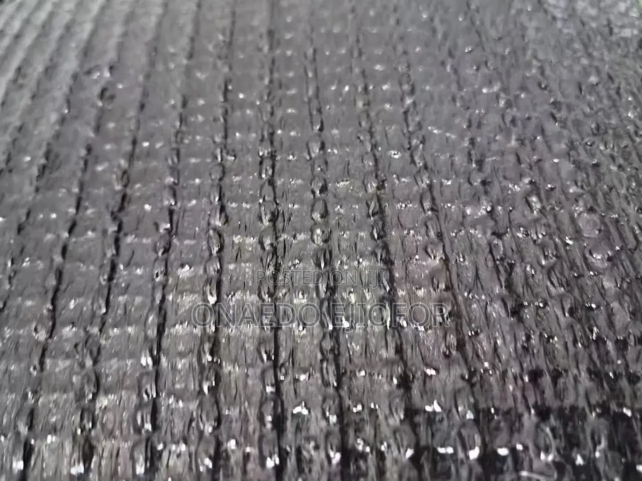 Artificial Grass