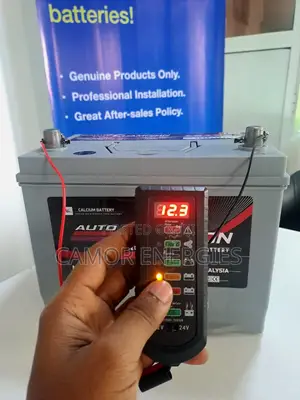R+ Rear Terminal | Auto Champion 80Ah Battery | 1YR Warranty