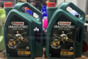 Castrol Magnatec 5w30 5litres