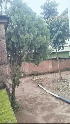 4bdrm Duplex in Ika North East for sale