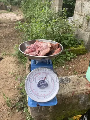 Processed Pig Meat for Sale