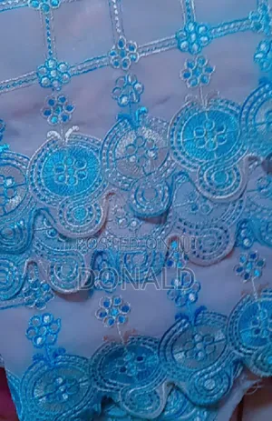Lace With Embroidery