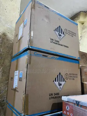5kwh 24v Cworth Solar Lithium Ion Battery in Stock