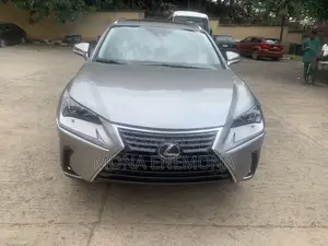 Lexus NX 2021 Gray