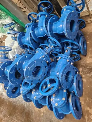Gate Valves DN100