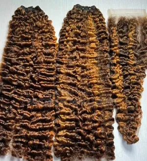 SDD Burmese Curl