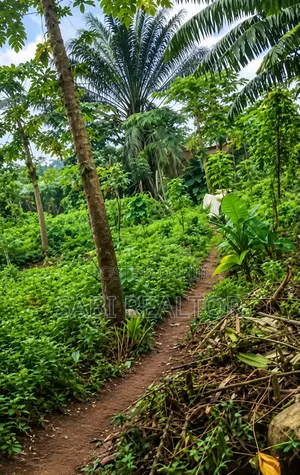 More Than a Plot of Land at Abiola Farm Phase 1 Megida Ayobo Lagos
