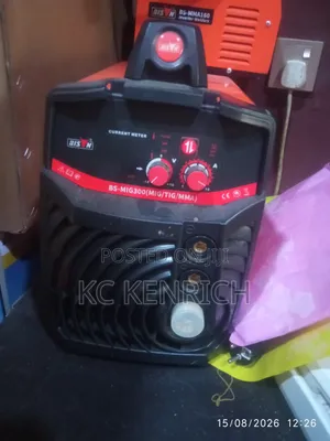 Bison (MIG/TIG/MMA 300) Inverter Welding Machine, 1 Phase