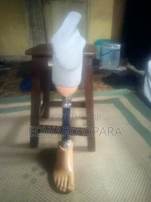 Below Knee(Transitional) Prosthetic