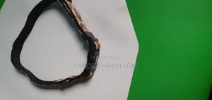 Small Dog Collar