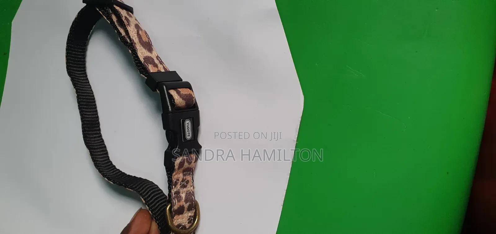 Small Dog Collar