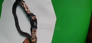 Small Dog Collar