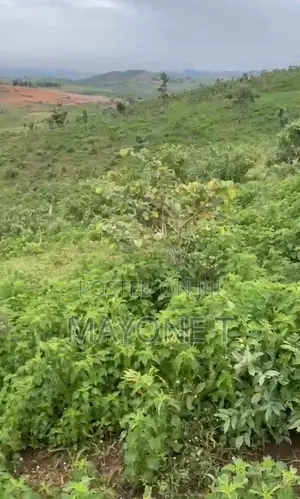 2.8 Hectares of Land Karshi