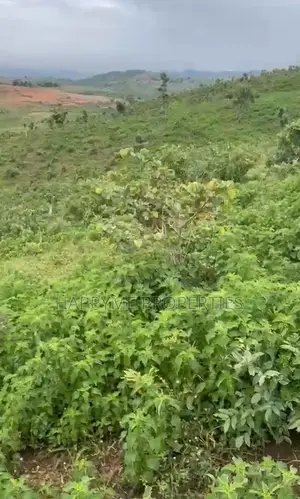 2.8 Hectares of Land Karshi
