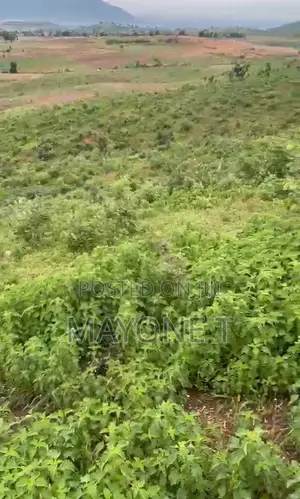 2.8 Hectares of Land Karshi