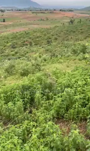 2.8 Hectares of Land Karshi