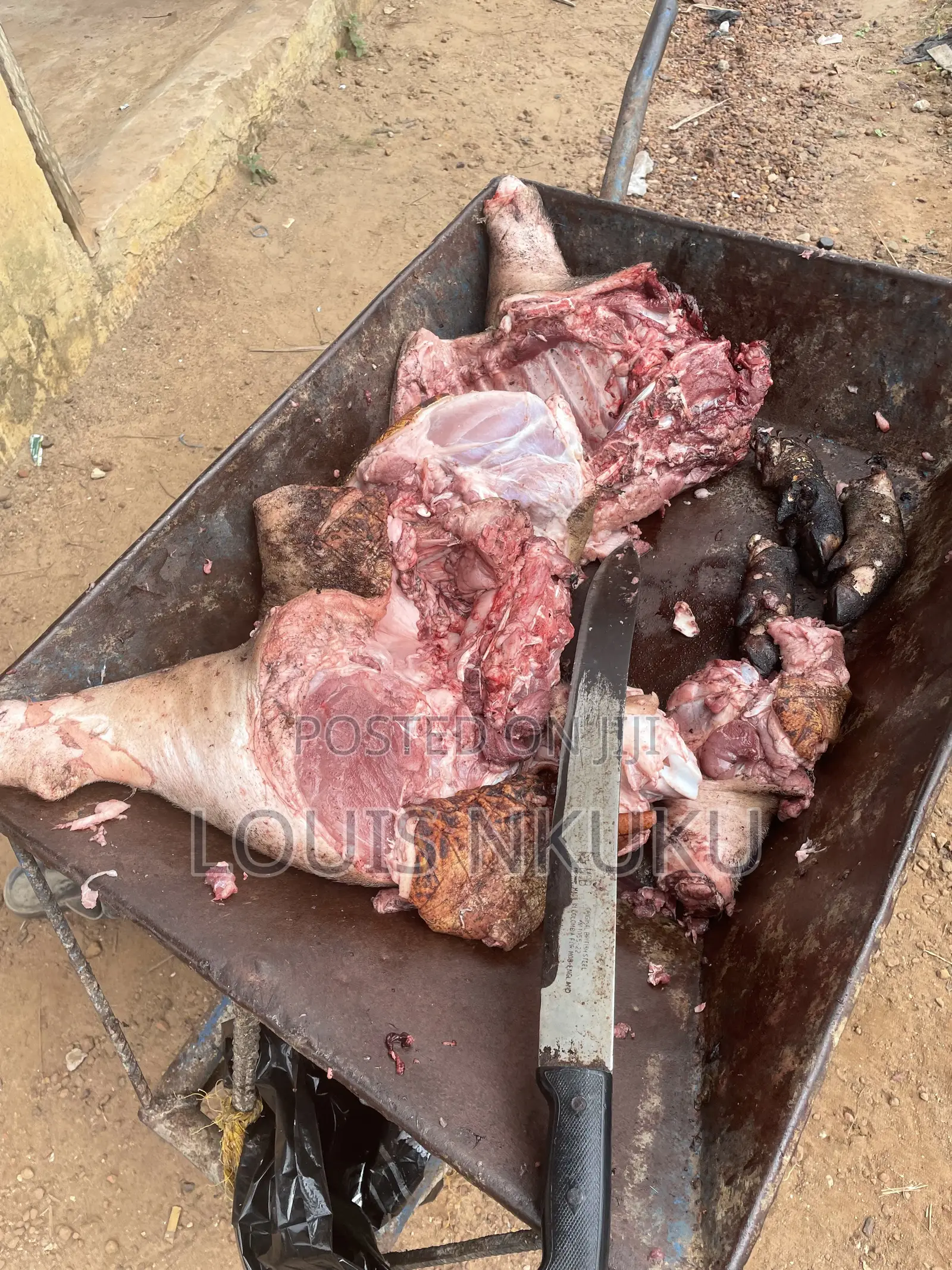 Processed Pig Meat for Sale