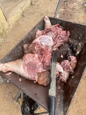 Processed Pig Meat for Sale