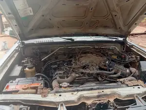 Nissan Xterra 2002 Gray