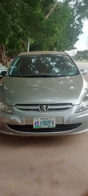 Peugeot 307 2007 Silver
