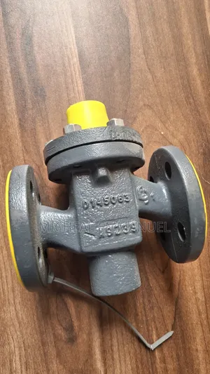 Steam Pressure Reducing Valve