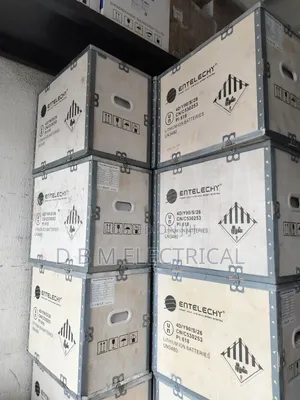 5kwh 24v Entelechy Solar Lithium Battery
