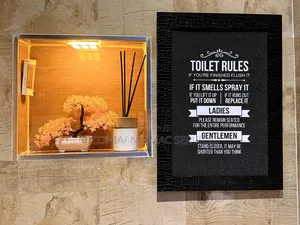 Toilet Frame
