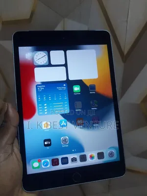 Apple iPad mini 4 128 GB Gray