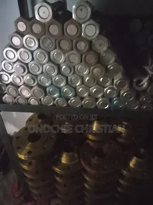 13/8x300 Stud Boit and Nut S/S