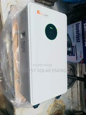 Felicity Lithium Ion Battery 15kwh 51.2v