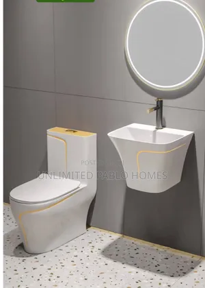 Turkish Luxury One-Piece Toilet +Basin Combo